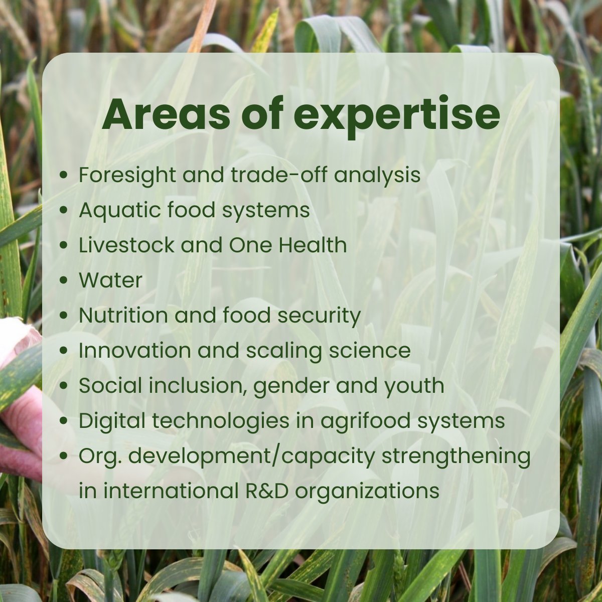 📢Are you a Subject Matter Expert in any of these areas? If so, IAES is looking for you! ➡️More information: iaes.cgiar.org/news/subject-m…