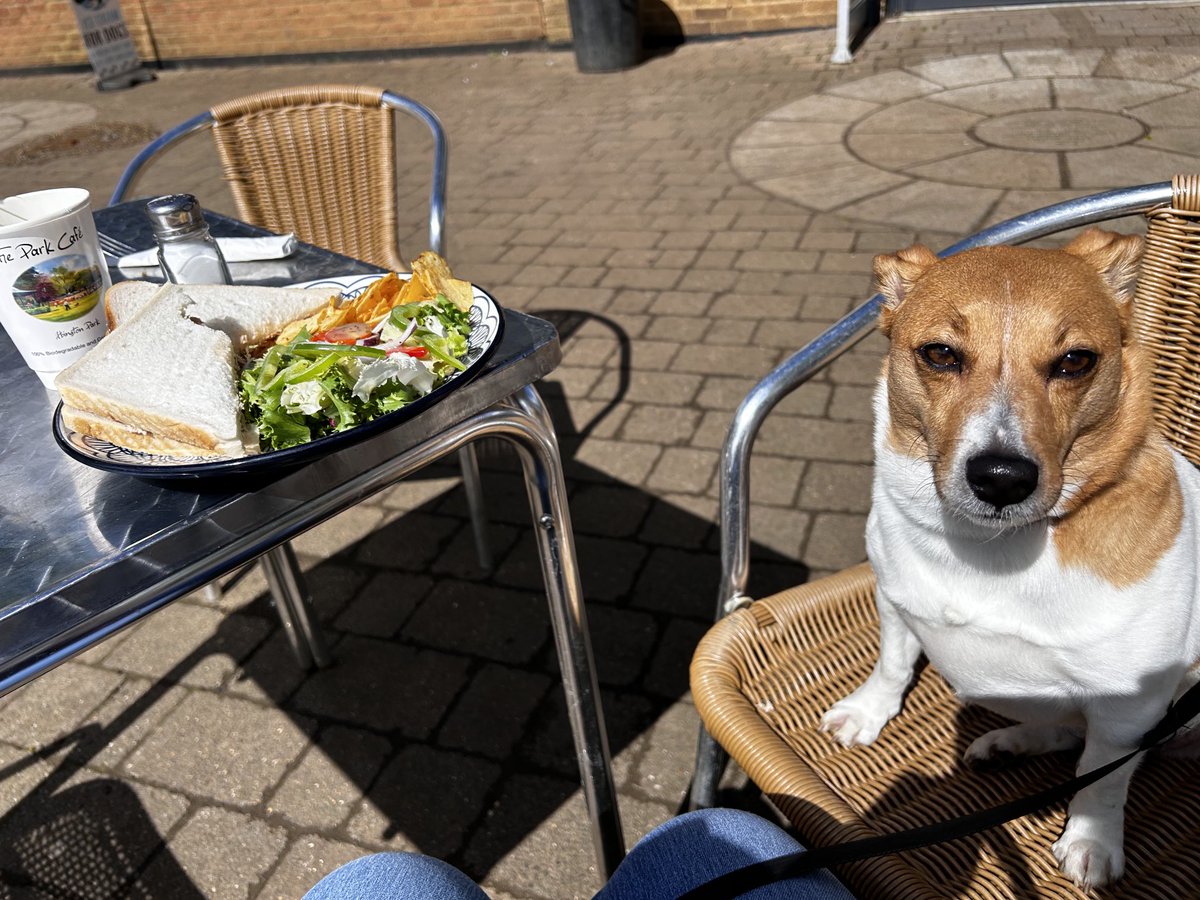 Yay the sun came out ! Sharing a Tuna sandwich at the park cafe 🥰🥰🥰😁