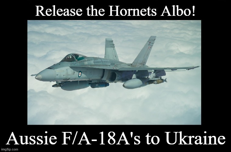 @NOELreports If tiny Norway can donate 22 F-16 fighters, @AlboMP, @SenatorWong, @RichardMarlesMP, why can't Australia send its 42 F/A-18s to Ukraine? Stop sitting on your hands and start helping! (Retweet if you agree) #Auspol