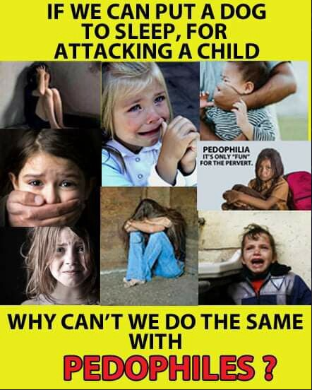 There are NO evil dogs & there are NO unprovoked dog attacks!! I can't say the same for humans. Pedophiles don't deserve to live. Your thoughts?