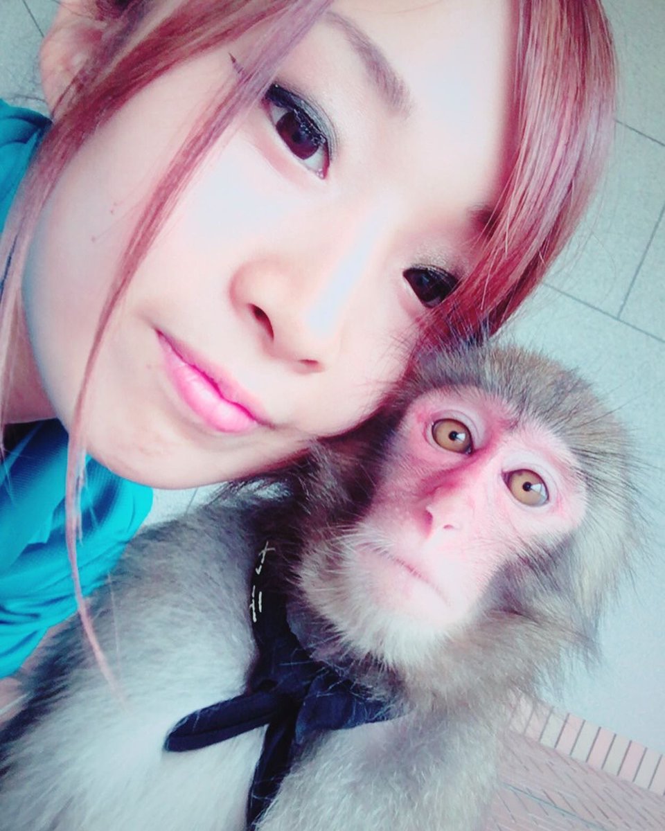 rui09132's tweet photo. 【ご報告】
この度コンビ「三和音」
5月6日��もって引退することになりました。

数えきれないほどの応援のお言葉
本当に私たちの励みになっていました！

このようなタイミングのご報告になってしまいましたが、
最後の日まで
皆さんへの感謝、ハヤテへの感謝
を忘れずに最後まで楽しみます！✨ https://t.co/DuGhAPSk29