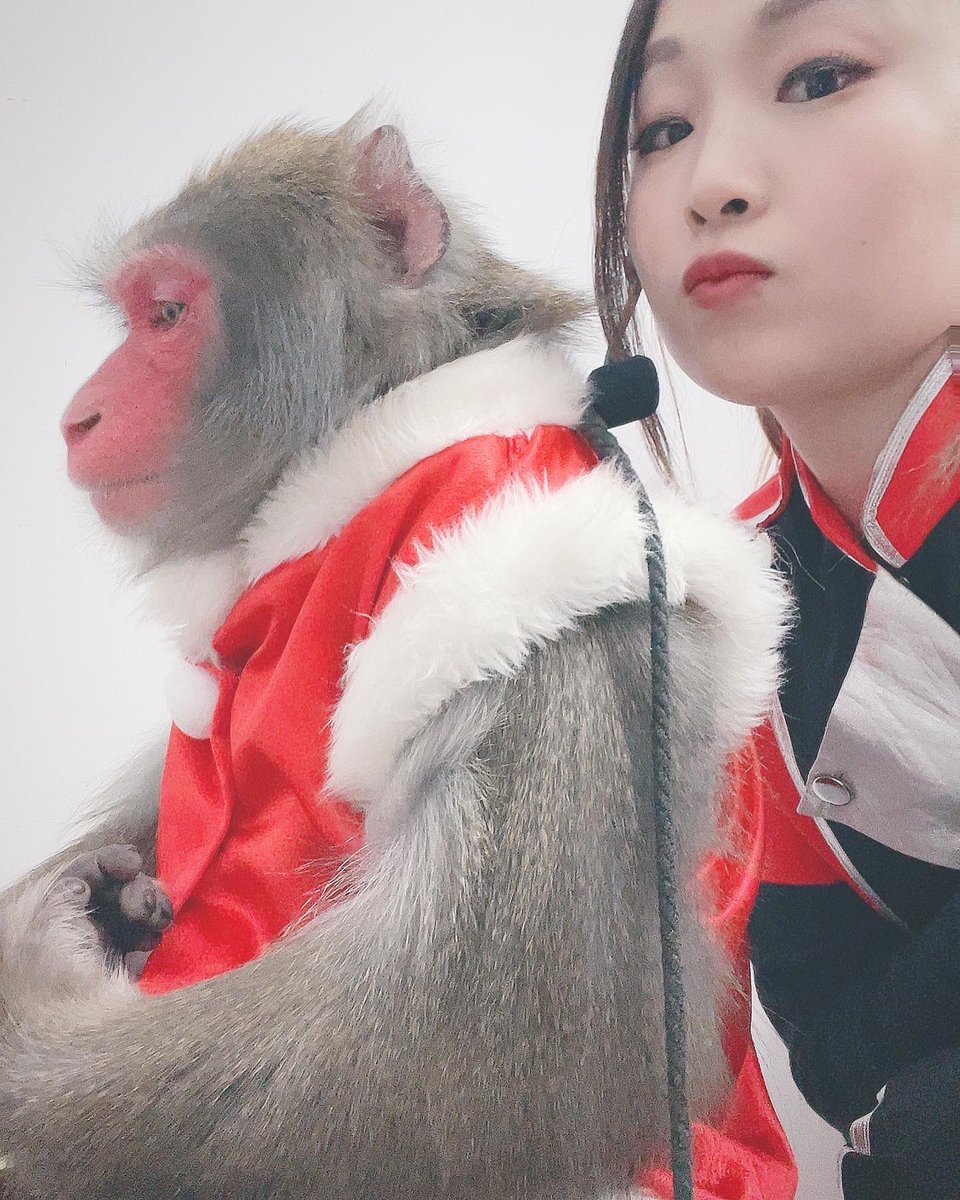 rui09132's tweet photo. 【ご報告】
この度コンビ「三和音」
5月6日��もって引退することになりました。

数えきれないほどの応援のお言葉
本当に私たちの励みになっていました！

このようなタイミングのご報告になってしまいましたが、
最後の日まで
皆さんへの感謝、ハヤテへの感謝
を忘れずに最後まで楽しみます！✨ https://t.co/DuGhAPSk29
