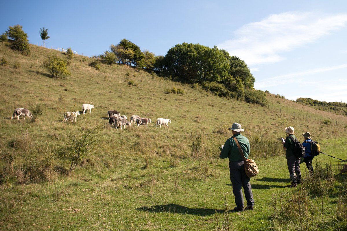 Looking back at our #ChalkEscape #WalkingFestival from 2022 - this was the #Sketching Walk at Coombe Bissett, with these photos kindly taken by Claire Bundy. Keep a look out as we will be announcing our new ChalkEscape Walking Festival programme in the coming weeks for 2024.