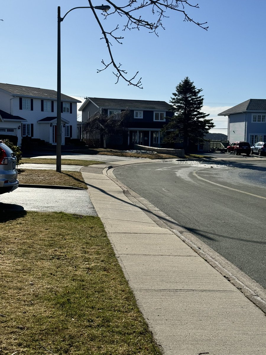 Ross Craig tweet media