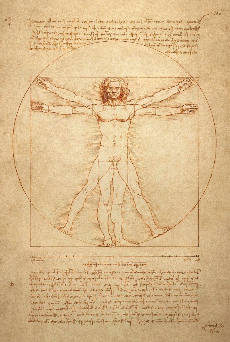 «Chi nega la ragion delle cose, pubblica la sua ignoranza». Nasce oggi nel 1452 Leonardo da Vinci, uno dei fari del Rinascimento italiano. Non tutti sanno che l'Uomo di Vitruvio è conservato alle Gallerie dell'Accademia di Belle Arti qui a Venezia #15aprile
