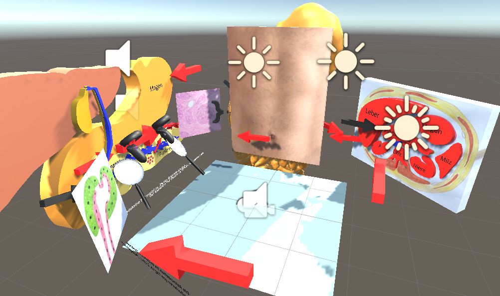 Alexander Hann tweet media