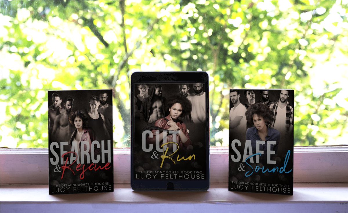 Looking for a completed reverse harem series to binge? You've come to the right place. Check out The Dreadnoughts, a thrilling adventure with a slow burn (but steamy) romance built in: books2read.com/searchandrescue #reverseharem #whychoose #rh #booktwitter
