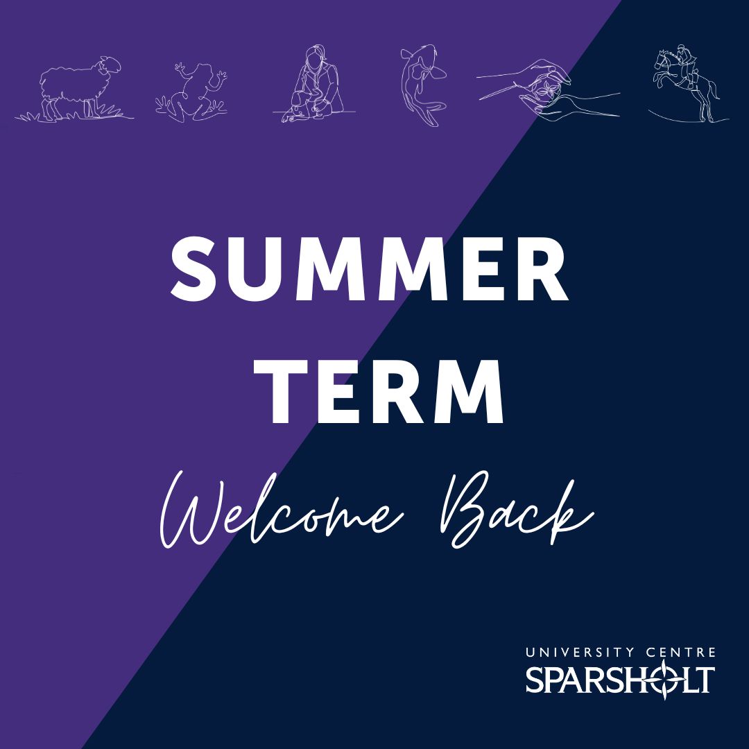 Welcome back! We hope everyone had a relaxing and productive Easter Break 🐣🌷🌞! We’re glad to have you back in lessons and are looking forward to the Summer Term ahead. View our term dates here: bit.ly/UCSTermDates
