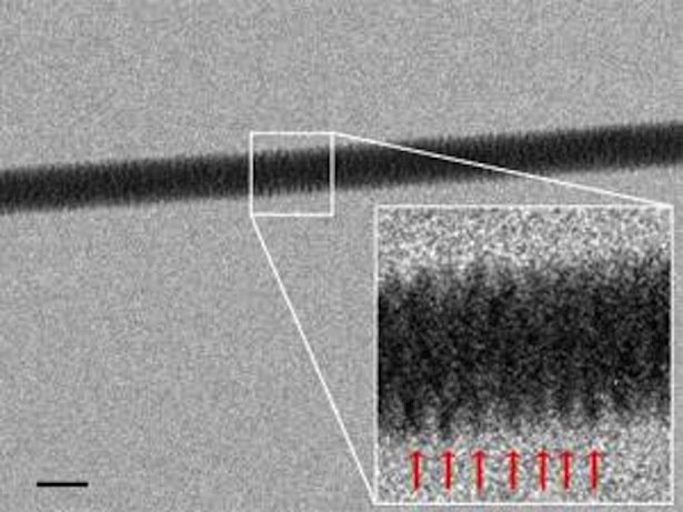 You may have never seen DNA imaged with an electron microscope, so here it is 

[source: bit.ly/2yd7EB8]