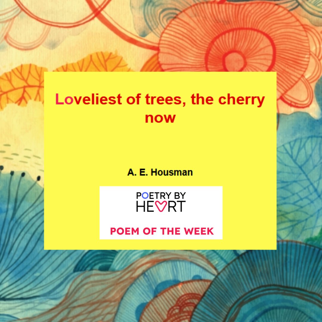 New term, NEW #PoetryByHeart Poem of the Week, now with added Word of the Week courtesy of @OED Explore A.E.Housman's 'Loveliest of trees, the cherry now' and as you read the poem aloud think about its balance of light and dark, joy and sadness. #poetry ow.ly/8CBH50RfNYT
