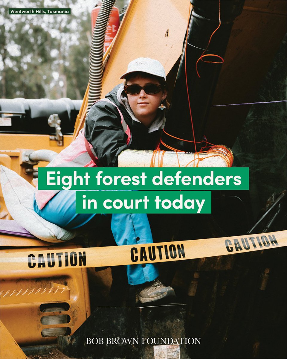 BobBrownFndn's tweet photo. Today, eight forest defenders faced court following their courageous efforts to halt logging at our mass mobilisation in February.
We will not back down, even as the authorities try to make non-violent civil disobedience as difficult as possible. ✊🏻✊🏽✊🏿
#Fightforforests https://t.co/56IAgZIXWg