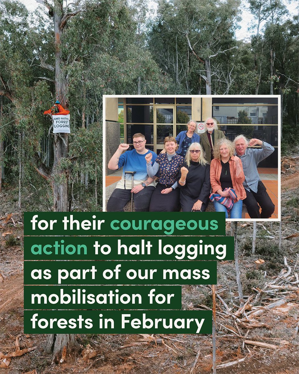 BobBrownFndn's tweet photo. Today, eight forest defenders faced court following their courageous efforts to halt logging at our mass mobilisation in February.
We will not back down, even as the authorities try to make non-violent civil disobedience as difficult as possible. ✊🏻✊🏽✊🏿
#Fightforforests https://t.co/56IAgZIXWg