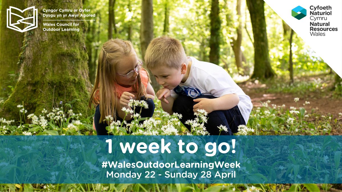 📢Teachers, parents, aunties, uncles, learning groups, and everyone else #WalesOutdoorLearningWeek kicks off a week today, with activities taking place virtually and locally across Wales 👉 Find out more orlo.uk/AMH7E @WalesCouncil4OL @WG_Education @lynne_neagle