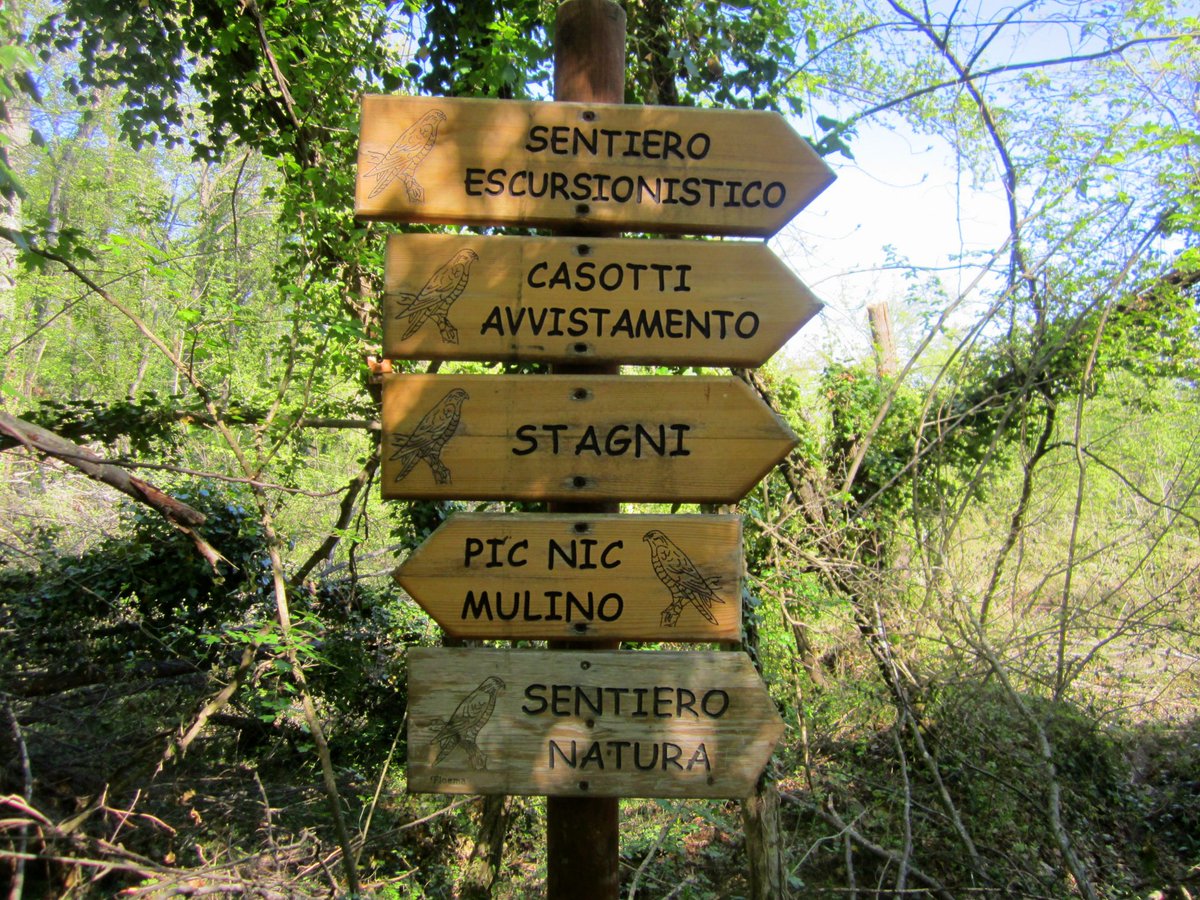 Le bellezze della Riserva Naturale Regionale Castel Cerreto sono accessibili a tutti, grazie a sentieri adatti a bambini di pochi mesi e persone con disabilità fisiche! Scopri di più 👇 abruzzoturismo.it/it/destinazion… Ph Walter Moretti #vacanzeaccessibili #disabilityfriendly #abruzzo