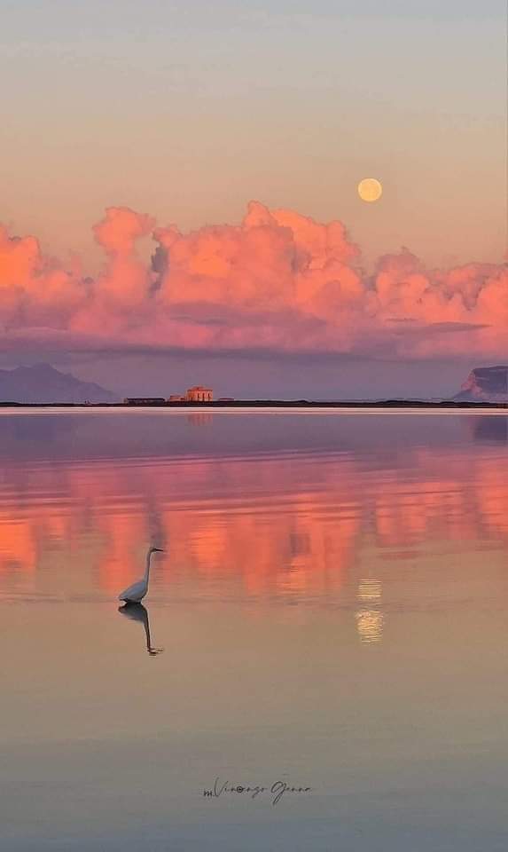 Marsala's Lagoon,Sicily Italy 🇮🇹 Gm )♪ 📷 Vincenzo Genna