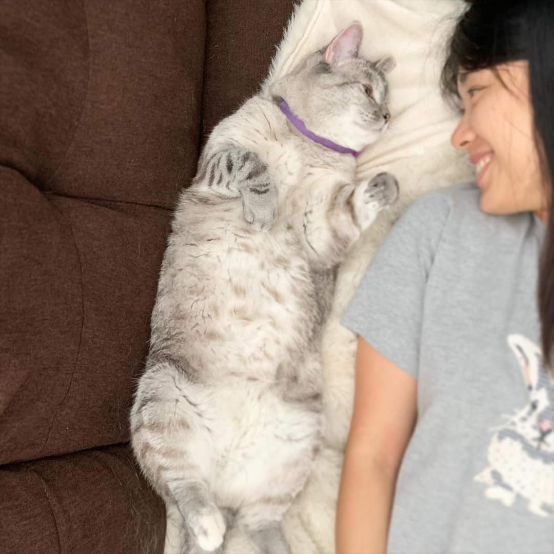 TanzoMizah's tweet image. 「中国激怒」のタグにはインプレゾンビが全く湧いてないの本当に草Awsqassqas