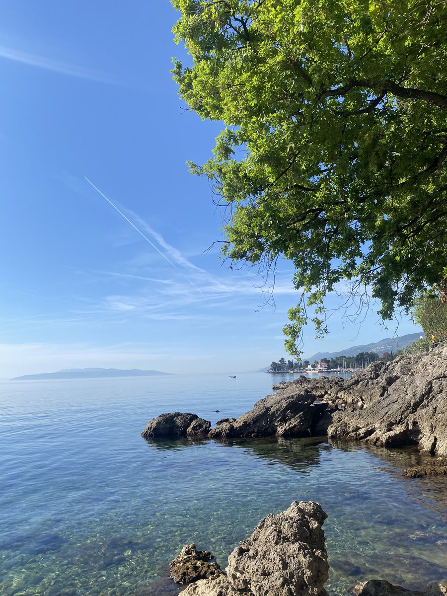 arteriveros's tweet photo. I had a beautiful Sunday at the beach. 
So I decided to make a quick little sketch https://t.co/5sIWooIttD