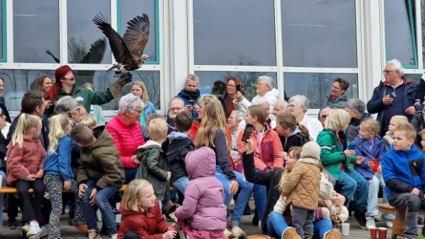 Show met roofvogels voor GO KIDSS! in Giessen-Oudekerk -  hetkontakt.nl/alblasserwaard…