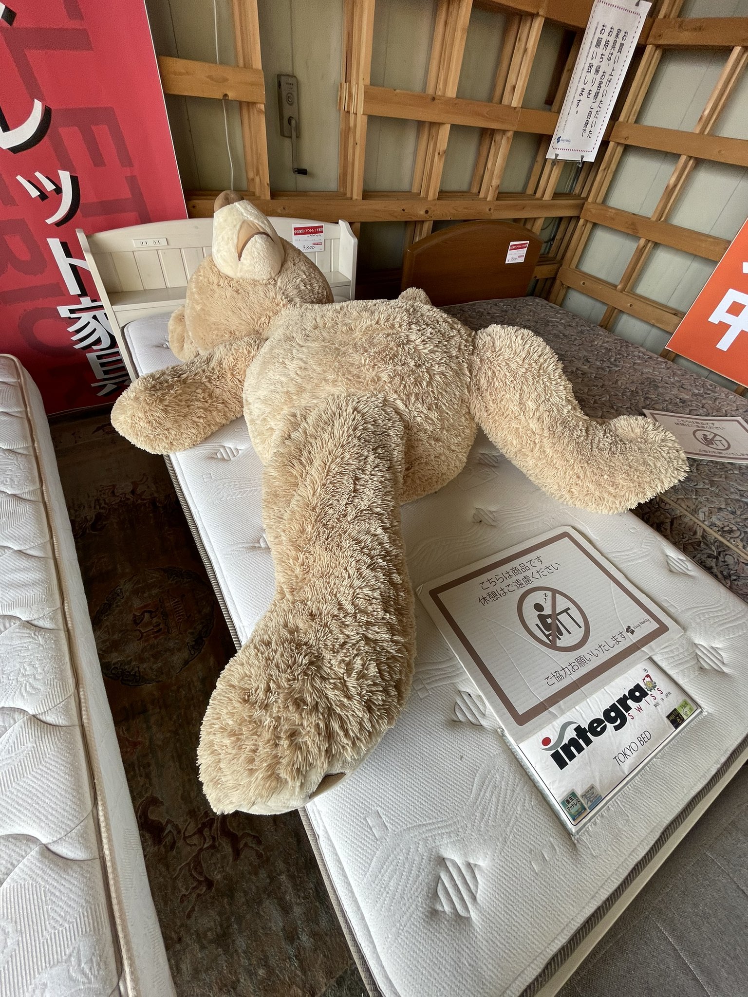 衣類リサイクルショップ・キングファミリー on X: 