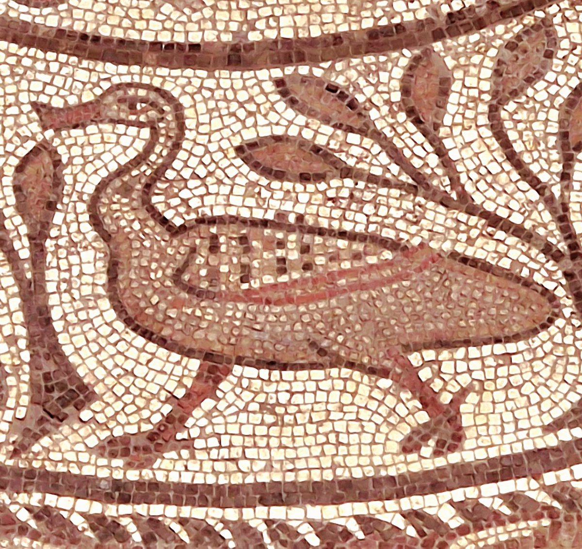 A dazzlingly disdainful duck struts her funky stuff at the centre of a 4th century #Roman mosaic from Barton Farm #Gloucestershire Found in 1824 and on display in the ever wonderful @CoriniumMuseum 📷 August 2022 #MosaicMonday