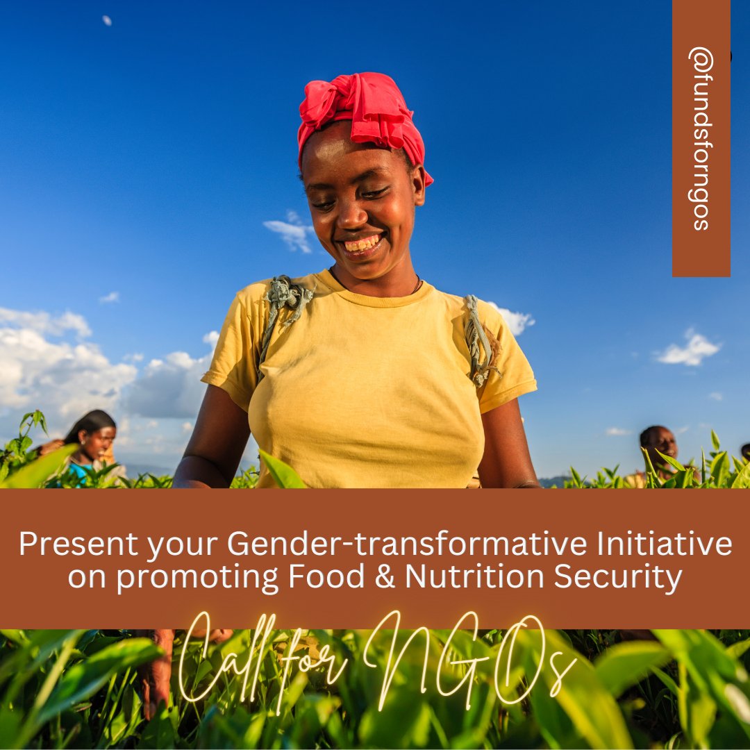 fundsforNGOs tweet media