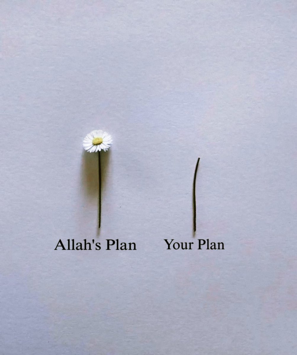 “They plan, and Allah plans. Surely, Allah is the best of planners.”

— Al Qur’aan [8:30]