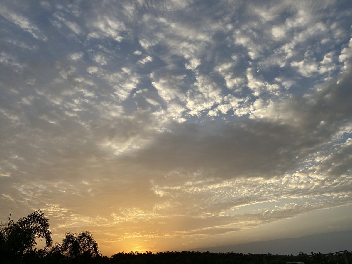 Dave Freedom Hero🦸‍♂️💸 tweet media