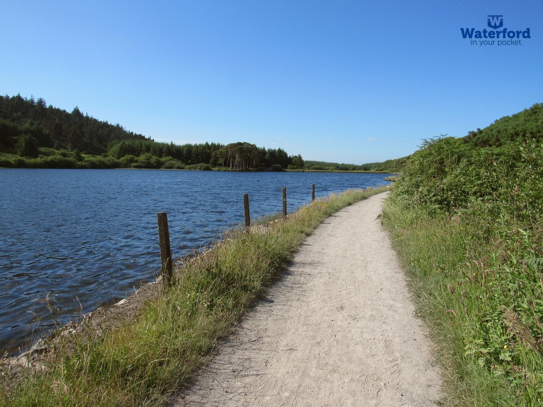 #QuoteoftheDay 'I hear lake water lapping with low sounds by the shore; While I stand on the roadway, or on the pavements grey, I hear it in the deep heart's core.' - William Butler Yeats #waterford #ireland #irishlakes #carrigavantrylake #carrigavantryreservoir #scenic #summer