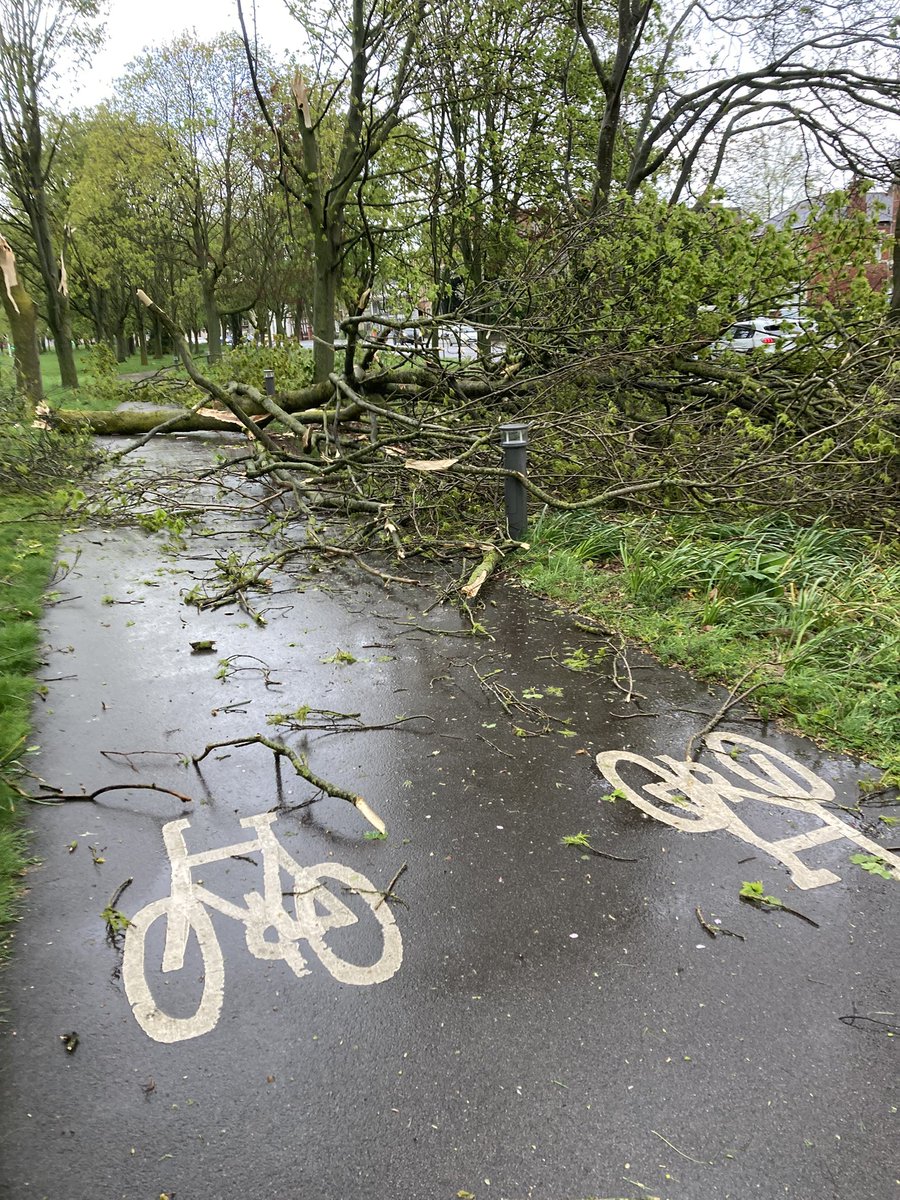 Build4Zero's tweet photo. @ATCLeicester tree down across cycle path, Victoria park - lightning! https://t.co/XouzA4phR3