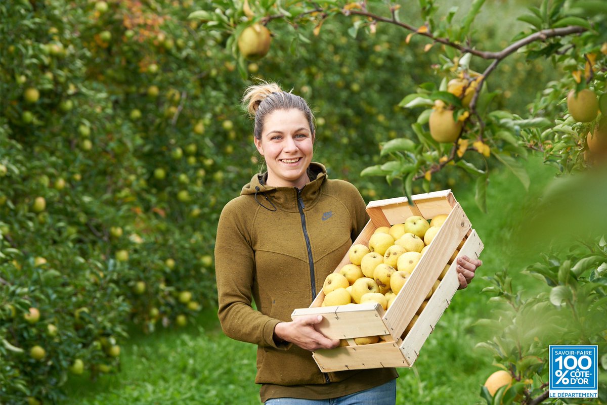 icominteractive's tweet photo. 🍏Magapomme, précurseur du circuit court ! 

🍎L'entreprise créée en 1993 propose plus de 26 variétés de pommes. C'est aussi un #magasin pour l'achat de productions locales, sans intermédiaire.    

✔️Notre leitmotiv : travailler avec des clients passionnés !  

@CD_CotedOr https://t.co/0COpJlSfBJ