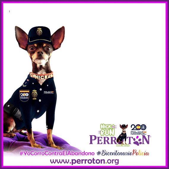 Deporticket tweet media