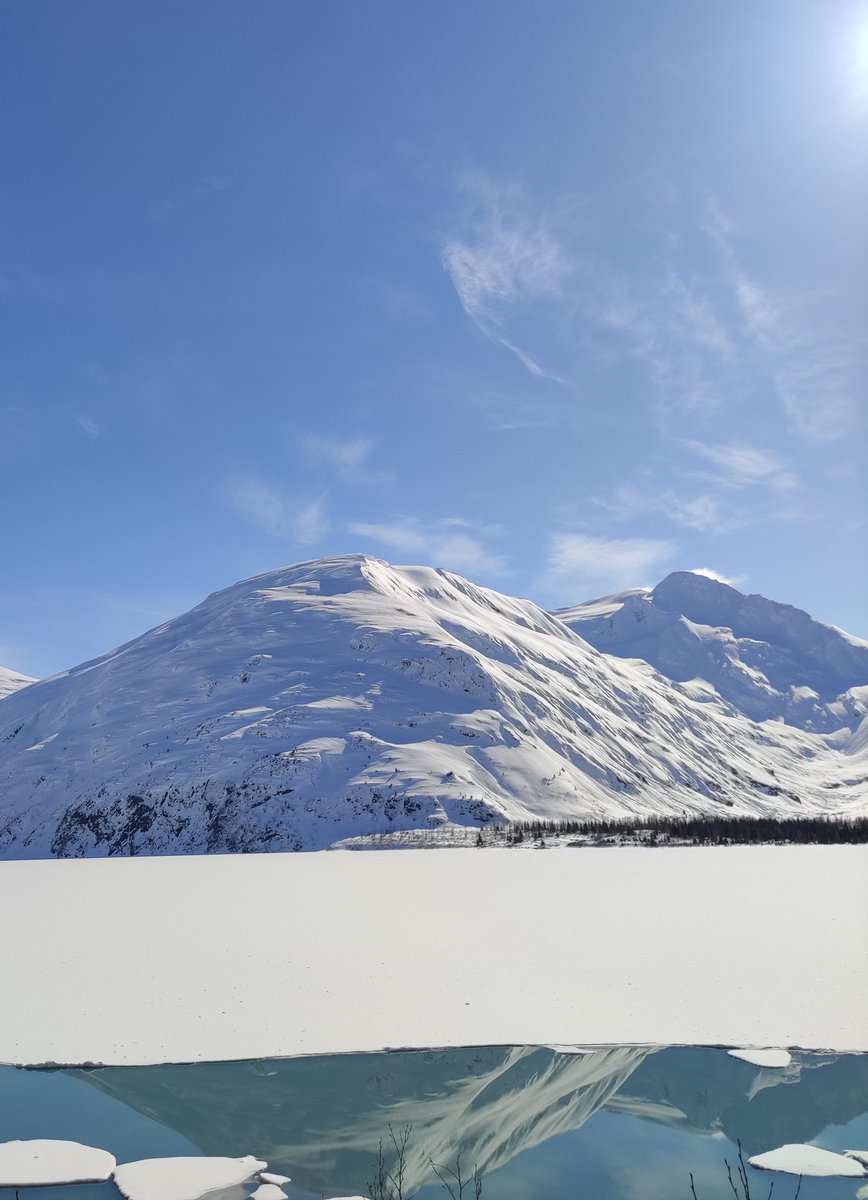 Sohvi Kangasluoma tweet media