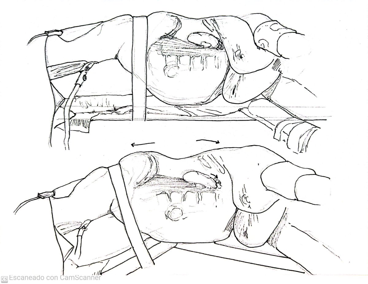 Asier Leivar Tamayo tweet media