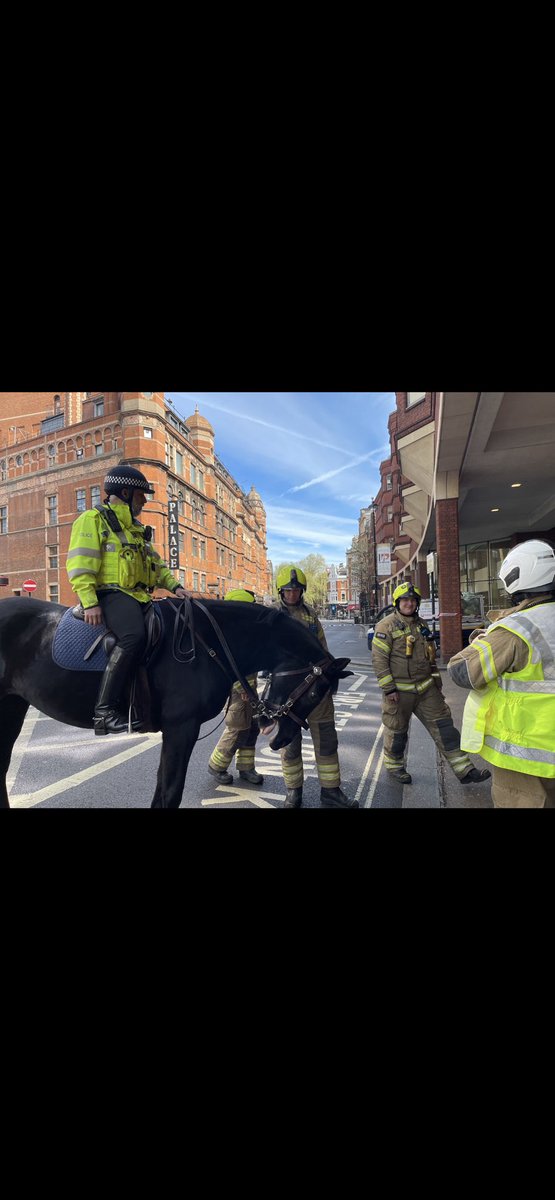A lovely opportunity to meet Blue light colleagues (in all shapes and sizes during a small police incident in the vicinity of Soho fire station. ⁦@LondonFire⁩