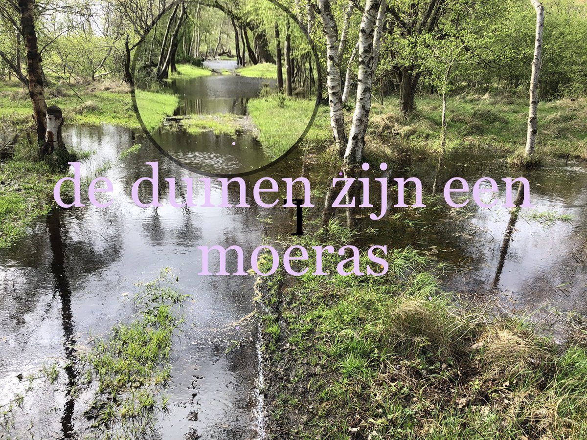 Vanmiddag om 13 uur spreken wij in over de meer dan schandalige overlast van het #grondwater als gevolg van de #vernattingsstrategie, provincie NH. #Recreatie? Vergeet het maar in de duinen. Kom ook naar het provinciehuis in Haarlem. Protesteer tegen de #vernatting!!!