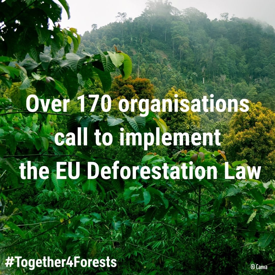 FSC stands strongly behind the EU deforestation-free products Regulation #EUDR.

Last week we joined +170 NGOs as part of the #Together4Forests coalition asking the European Commission not to weaken or delay this landmark legislation.

Getting the EUDR in place was a long and…