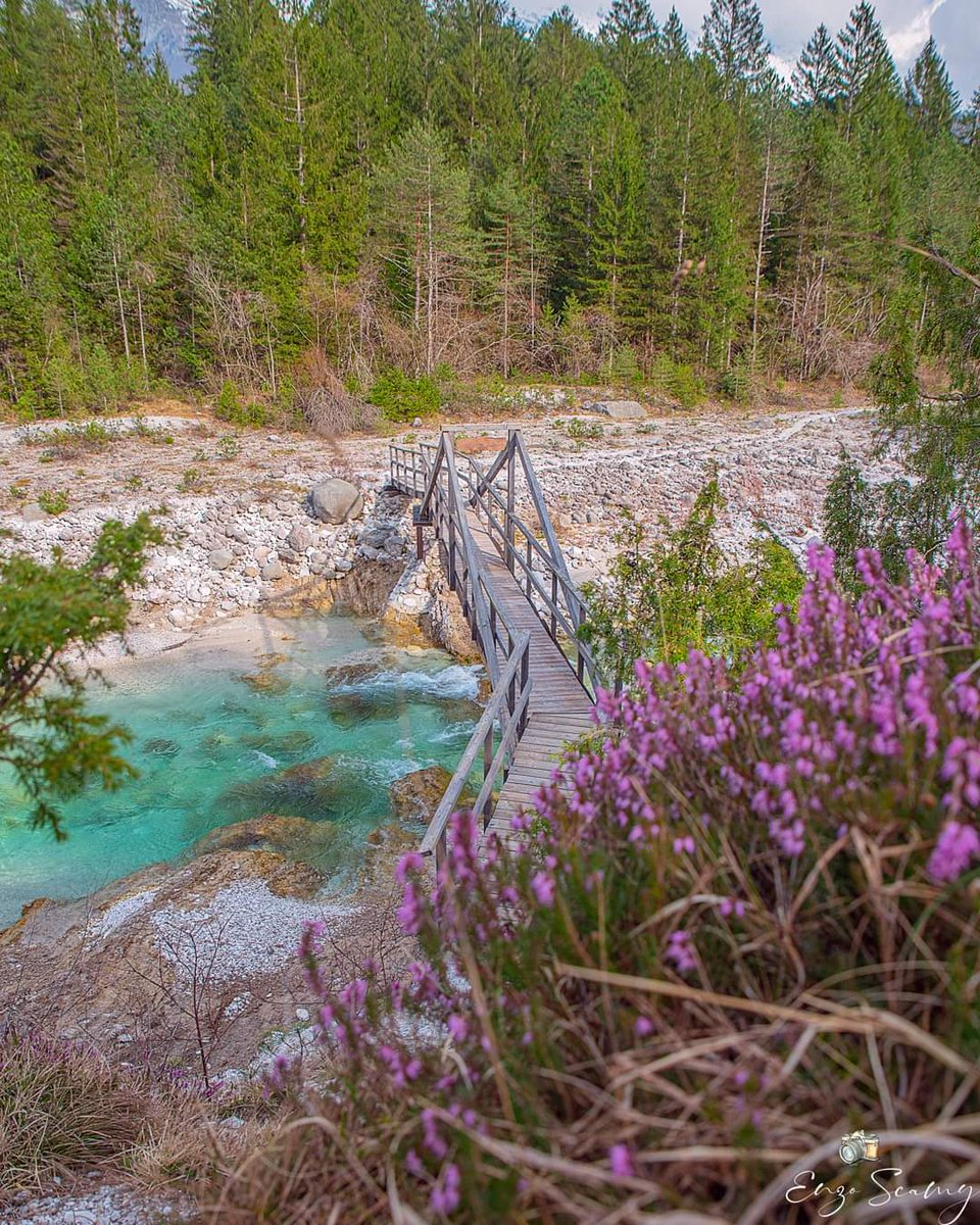 regioneFVGit's tweet photo. 🤓 Nel cuore della #ValResia scorre un percorso circolare permanente chiamato "Ta Lipa Pot" che in resiano significa "la bella strada".
👉 Scopri di più https://t.co/4yDpOei6yH
📷©️ Enzo Scamy https://t.co/QjPnojVhpQ