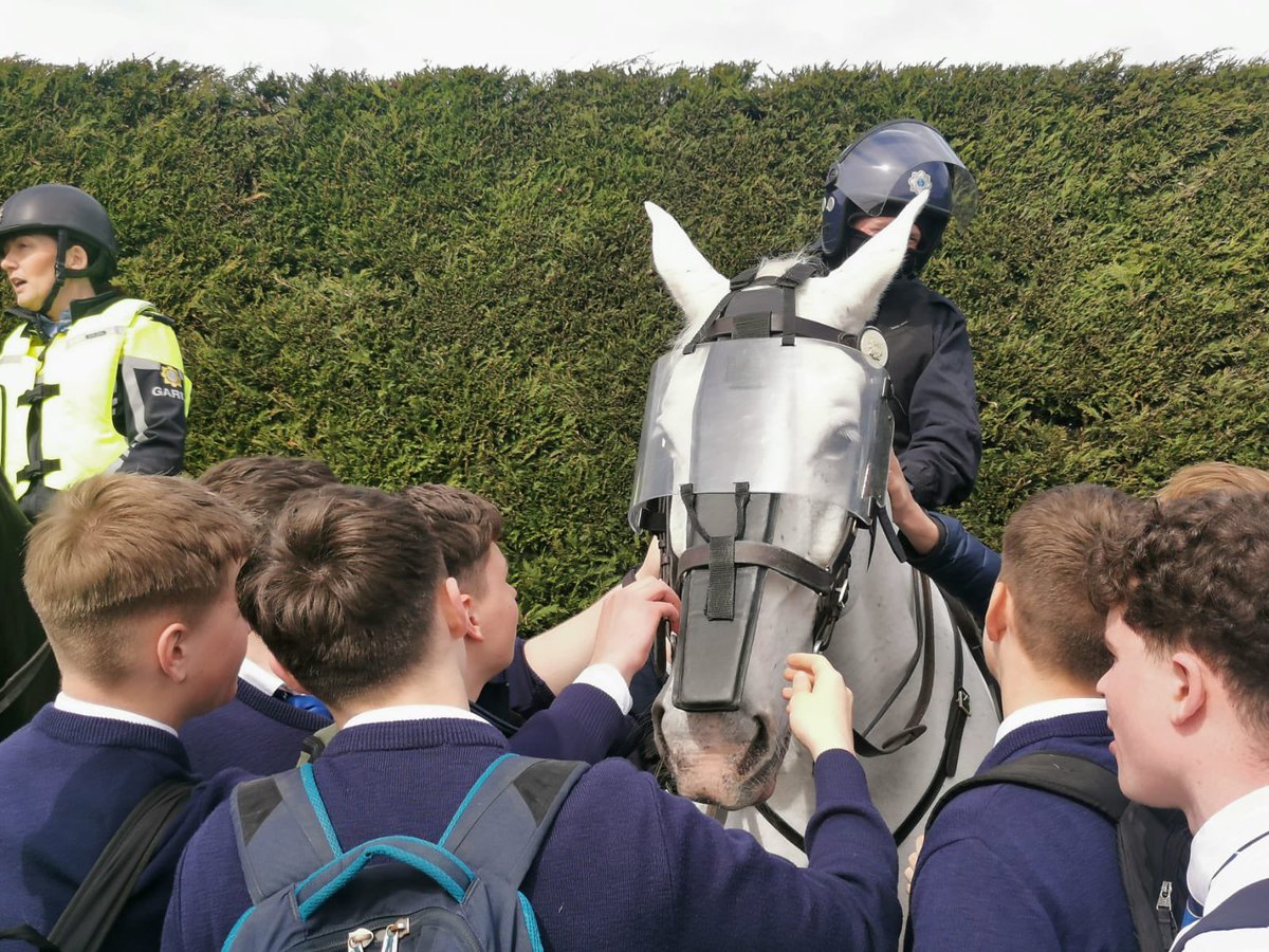 St Mary's College 🇸🇴 tweet media