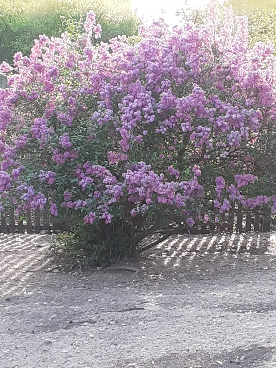 BlogulTV tweet picture