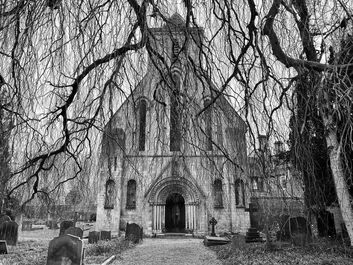 Nun Monkton Priory, North Yorkshire (11.40am, 13th April 2024) #nunmonkton #nunmonktonpriory #northyorkshire #architecture #church #monochromatic #monochrome #tree #iphonephotography #iphone13mini