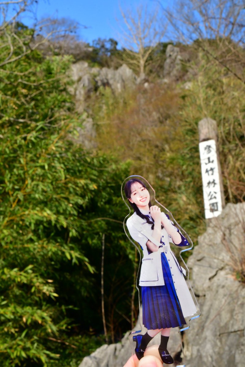 毎月15日は塔子の日！

桐生塔子と声優の麻丘真央さんのメンバーカラーである
若竹色を見に来ました🎋
美祢市にある「彦山竹林公園」

春の竹は良い色をします
#塔子の日