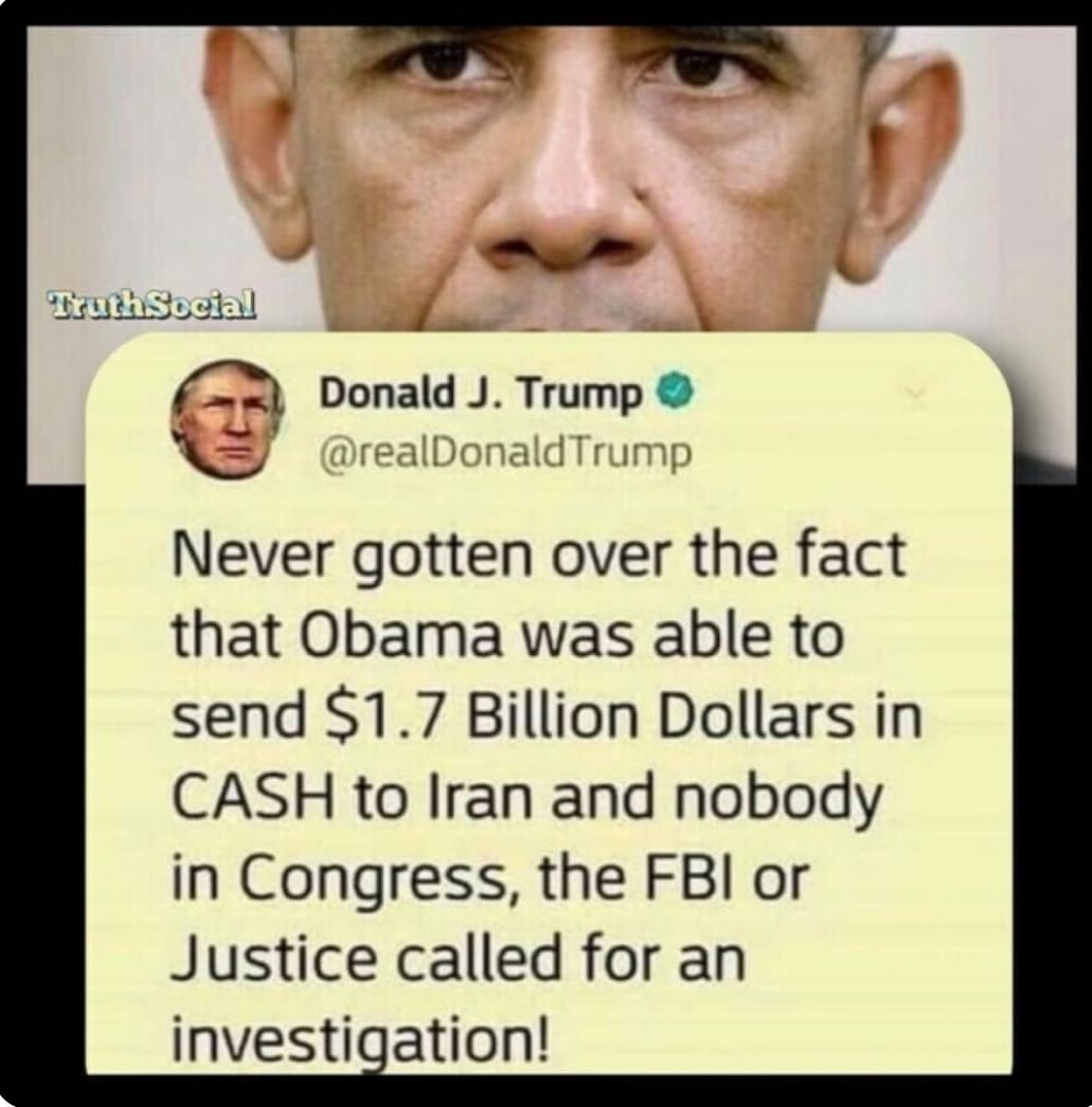 Trump is right. How did this all happen and no one investigated? #palletsofcash #cargoplane #MSM 🦗