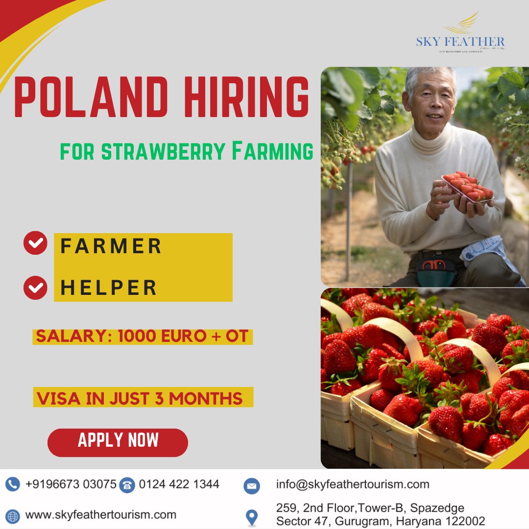 URGENT!!! Poland Job Requirements
Benefits:-

🔹 Work Permit ( valid for 9 Months )
🔹 Renew After 9 Months
🔹 Total processing time - 3 Months
🔹 Salary - 850 - 1100 Euros/Month
🔹 Free Accommodation
🔹 Free Transportation for Work
#skyfeathertourism #PolandJobs