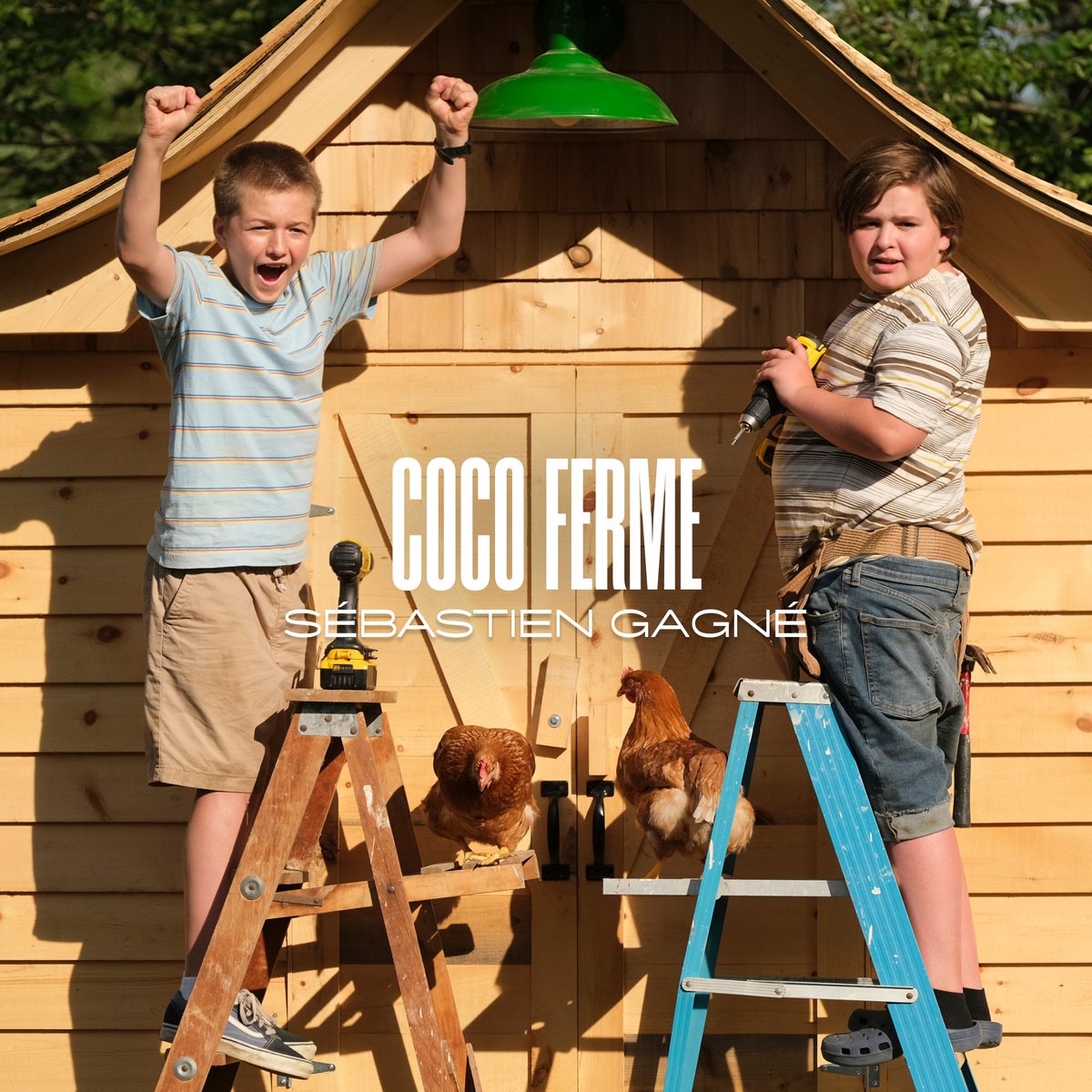 This week the #FestivalDuFilmFrancophone starts in #Vienna! 🎉🍿🇨🇦 Looking for a film for the whole family? 
"COCO FERME" is a humorous exploration of entrepreneurship, community spirit, and the challenges faced by small-scale farmers. 🐤🐔
👉Tickets via fffwien.at