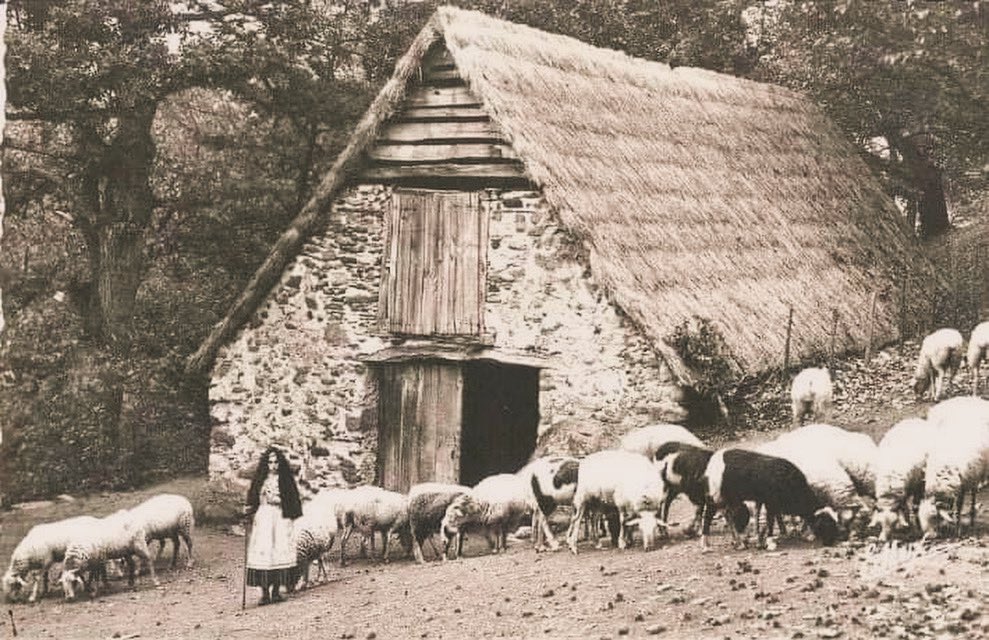 The Little Shepherdess, Bartrés, 1857 - just weeks before the first apparition of Our Lady. 

#SaintBernadette #Shepherdess #Bartres #Lourdes