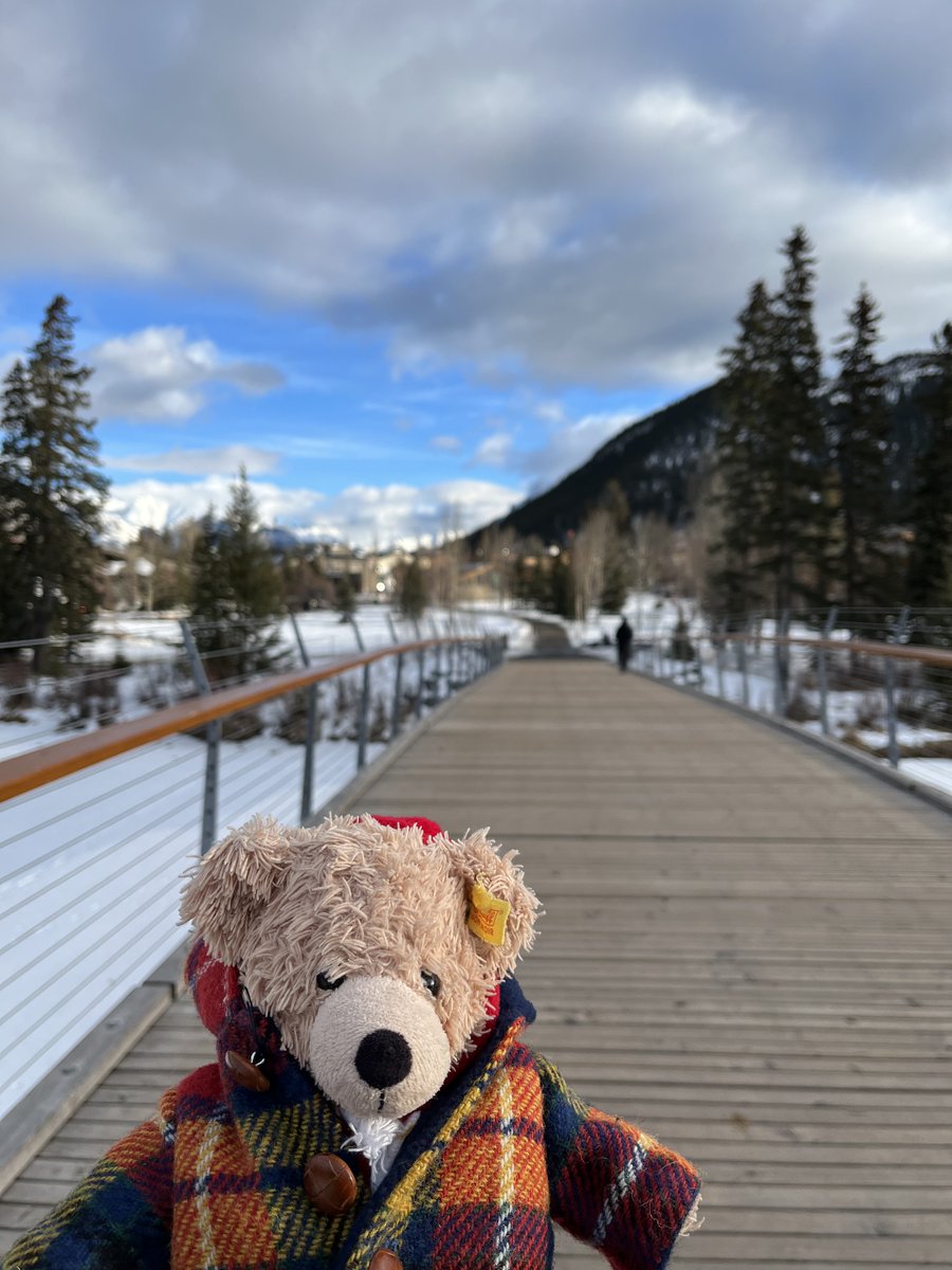 The long and winding road? #Flynn #FlynnTheBear #Banff #Beatles