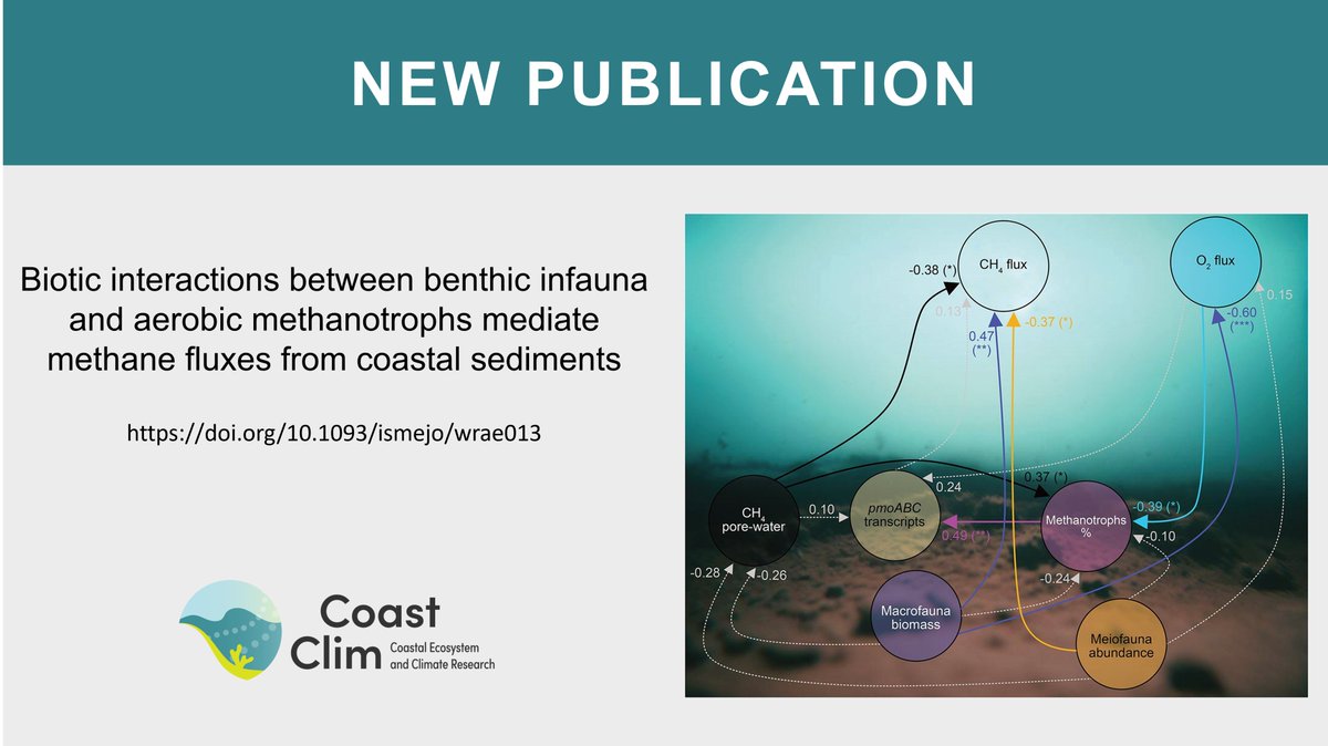 New CoastClim publication! Read about how biotic interactions mediate methane fluxes from coastal sediments, by E. Broman et al. Publication: doi.org/10.1093/ismejo…
