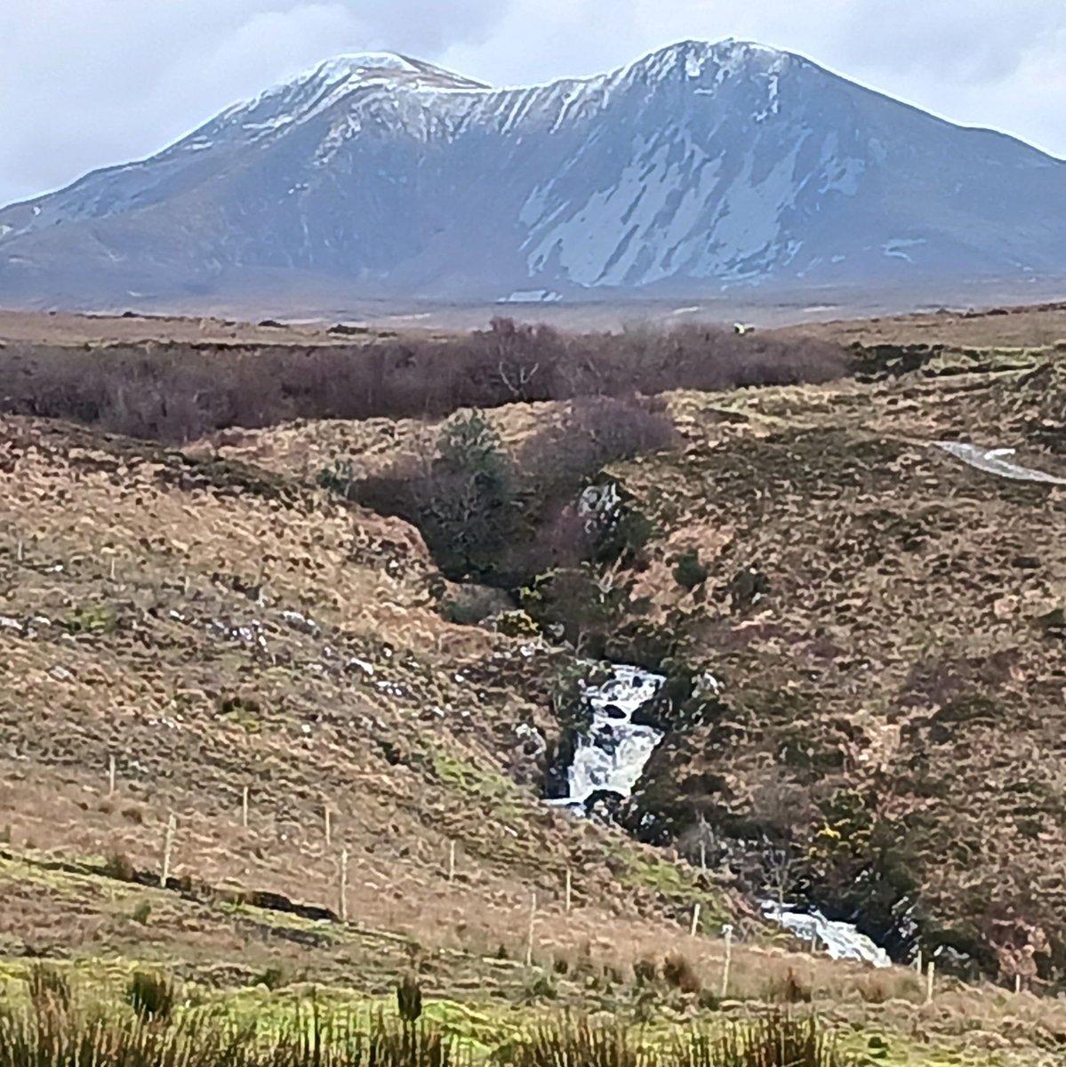 Exploring the serene beauty of Co. Donegal, where streams carve through blanket bogs under the watchful eye of Muckish Mountain. 🏞️ 🌱 #greenrestorationireland #farmcarboneip #ireland #donegal #bogs #wetlands #blanketbogs