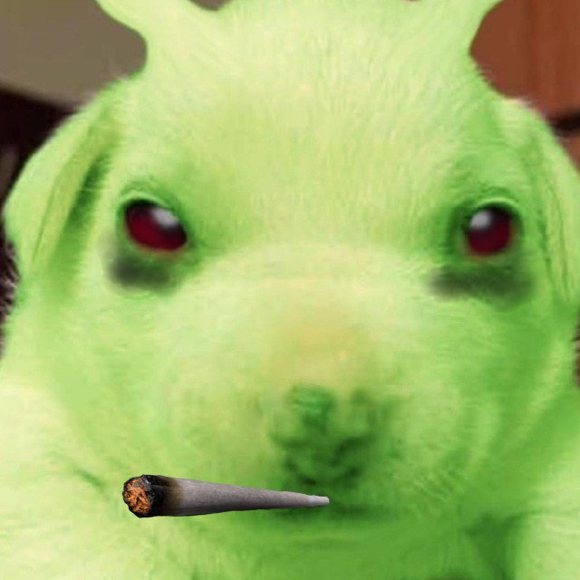 greenalien41011's tweet photo. @motocap_ @blknoiz06 @okx join us and have a warm welcome wif za CA:BpLiCdkjJYWkqbKHNu736GWipBa5hfmvjS3Vm4GHTfkc https://t.co/EmFTpkFgRt