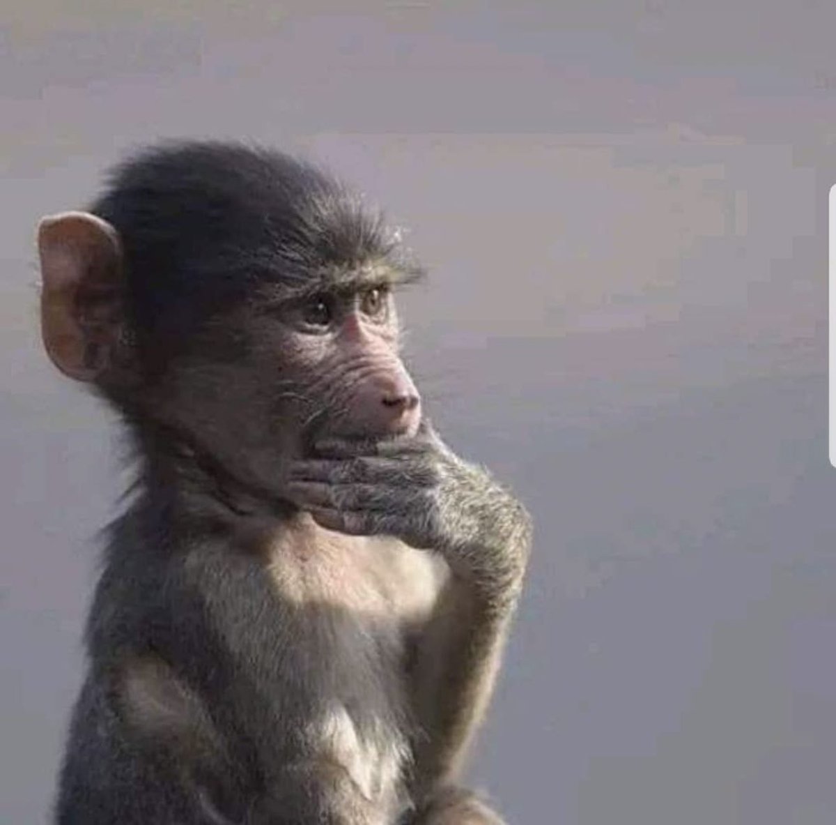 Hon Julius Acon MP Otuke East County tweet media